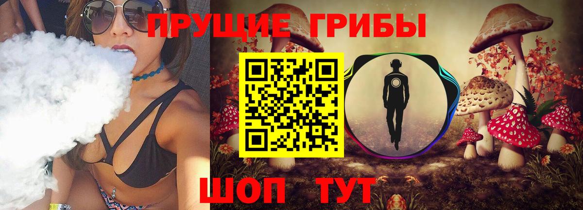 Валуйки  Галлюциногенные грибы мицелий  Вход с VPN 