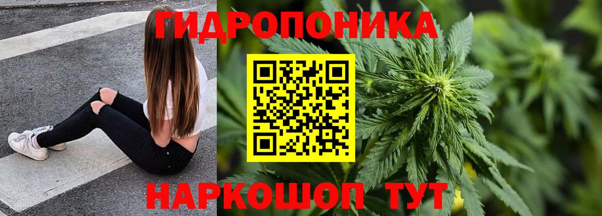 Конопля Ganja  Бошки Шишки LSD WEED  Вход с VPN  Каннабис конопля  Валуйки 